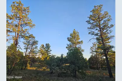 4843 W Bison Trail, Lakeside, AZ 85929 - Photo 2