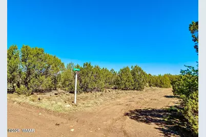 128 Co Rd 8061, Concho, AZ 85924 - Photo 4