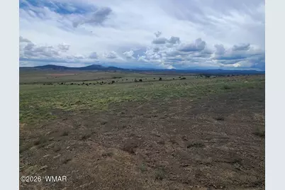 3 County Road  N3365, Vernon, AZ 85940 - Photo 14