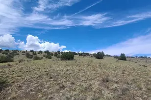 3 County Road N3365, Vernon, AZ 85940 - Photo 2