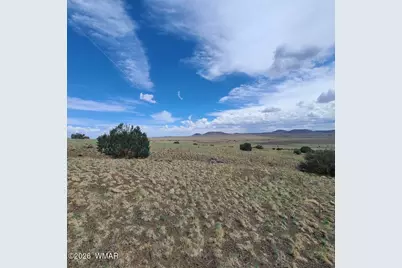 3 County Road  N3365, Vernon, AZ 85940 - Photo 18