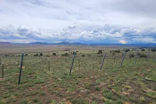 3 County Road N3365, Vernon, AZ 85940 - Photo 44