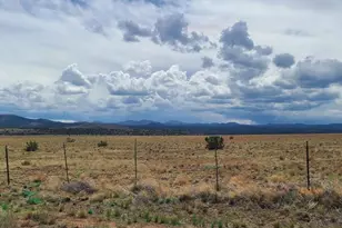 3 County Road N3365, Vernon, AZ 85940 - Photo 20