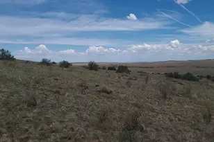 3 County Road N3365, Vernon, AZ 85940 - Photo 36