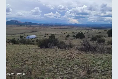3 County Road  N3365, Vernon, AZ 85940 - Photo 2