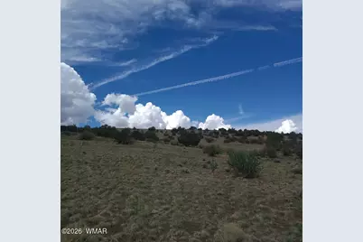 3 County Road  N3365, Vernon, AZ 85940 - Photo 40