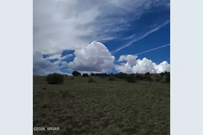 3 County Road  N3365, Vernon, AZ 85940 - Photo 40