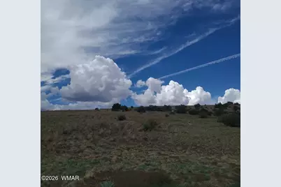 3 County Road  N3365, Vernon, AZ 85940 - Photo 38