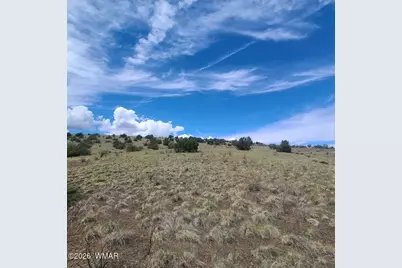 3 County Road  N3365, Vernon, AZ 85940 - Photo 1