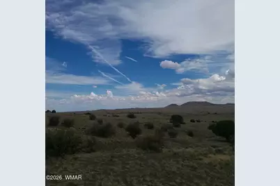 3 County Road  N3365, Vernon, AZ 85940 - Photo 42