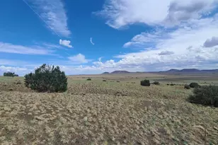 3 County Road N3365, Vernon, AZ 85940 - Photo 18