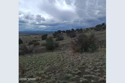 3 County Road  N3365, Vernon, AZ 85940 - Photo 4