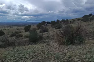 3 County Road N3365, Vernon, AZ 85940 - Photo 4