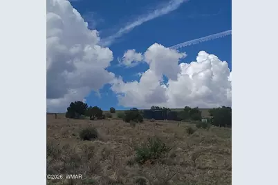 3 County Road  N3365, Vernon, AZ 85940 - Photo 44