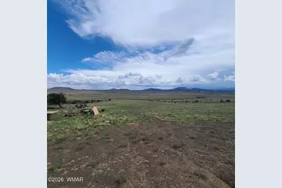 3 County Road  N3365, Vernon, AZ 85940 - Photo 16