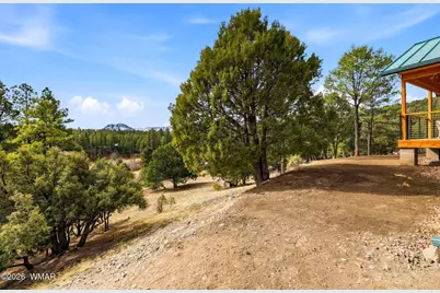 15 Co Rd 2026, Nutrioso, AZ 85932 - Photo 12