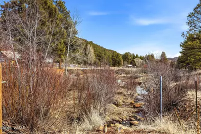 15 Co Rd 2026, Nutrioso, AZ 85932 - Photo 40