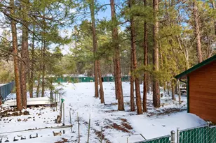 2616 Gooseleg Way, Lakeside, AZ 85929 - Photo 6