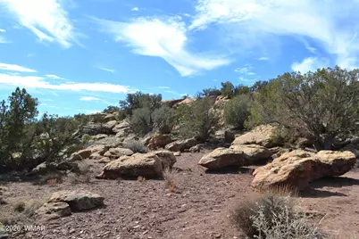 77 N8543, Concho, AZ 85924 - Photo 12