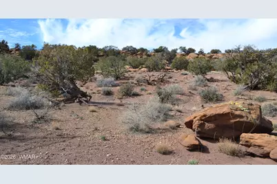 77 N8543, Concho, AZ 85924 - Photo 2