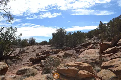 77 N8543, Concho, AZ 85924 - Photo 6