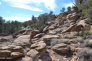 77 N8543, Concho, AZ 85924 - Photo 44