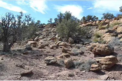 77 N8543, Concho, AZ 85924 - Photo 42