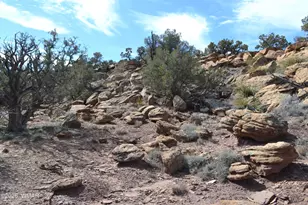 77 N8543, Concho, AZ 85924 - Photo 42