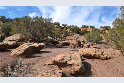 77 N8543, Concho, AZ 85924 - Photo 48