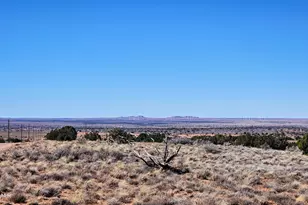 8334 Rockin R Ranch Trail, Snowflake, AZ 85937 - Photo 1