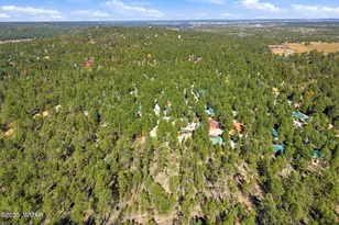 4340 S Mogollon Trail, Show Low, AZ 85901 - Photo 30