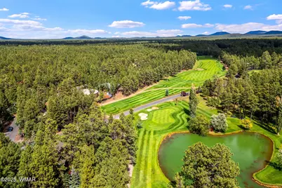 6597 Buck Springs Road, Pinetop, AZ 85935 - Photo 4