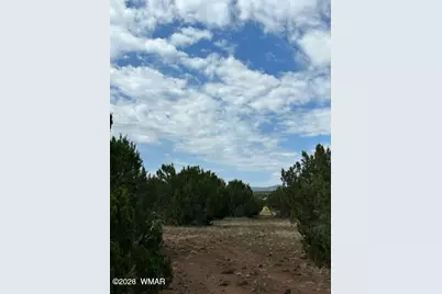 Tbd Cr N3109 &amp; N3102, Vernon, AZ 85940 - Photo 16