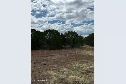 Tbd Cr N3109 &amp; N3102, Vernon, AZ 85940 - Photo 4