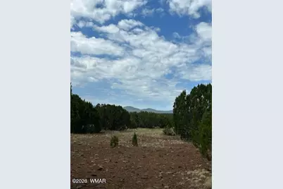 Tbd Cr N3109 &amp; N3102, Vernon, AZ 85940 - Photo 12