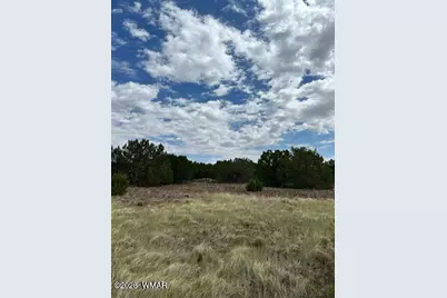 Tbd Cr N3109 &amp; N3102, Vernon, AZ 85940 - Photo 1