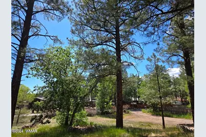 2547 Pima Way, Lakeside, AZ 85929 - Photo 8