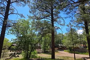 2547 Pima Way, Lakeside, AZ 85929 - Photo 8