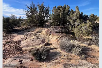 Lot 29 Snowflake Ranches, Snowflake, AZ 85937 - Photo 16