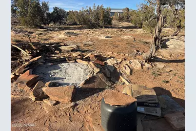 Lot 29 Snowflake Ranches, Snowflake, AZ 85937 - Photo 12