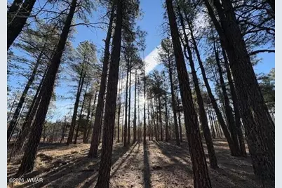 2360 Narrow Leaf Lane, Show Low, AZ 85901 - Photo 1
