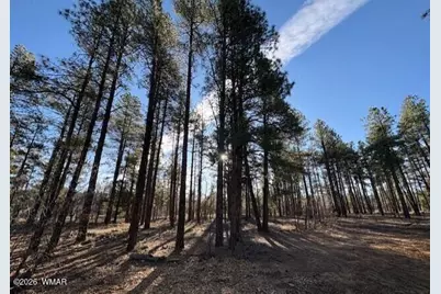 2360 Narrow Leaf Lane, Show Low, AZ 85901 - Photo 6