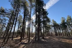 2360 Narrow Leaf Ln, Show Low, AZ 85901 - Photo 6