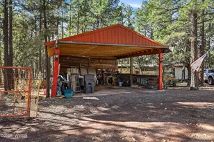 6480 Lower Ridge Dr, Lakeside, AZ 85929 - Photo 26