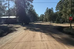 2058 Pinehaven Ln, Overgaard, AZ 85933 - Photo 32