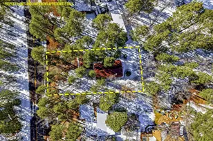 4338 Branding Iron Loop, Pinetop, AZ 85935 - Photo 26