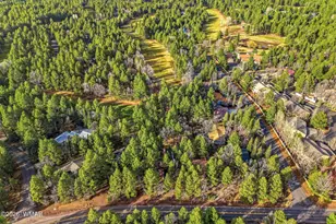 4338 Branding Iron Loop, Pinetop, AZ 85935 - Photo 30