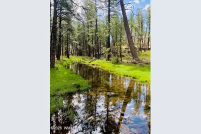 2636 Greens Peak Drive, Pinetop, AZ 85935 - Photo 34