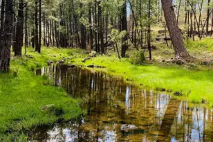 2635 Greens Peak Dr, Pinetop, AZ 85935 - Photo 34