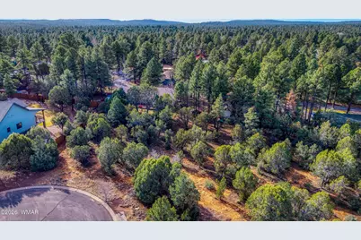 1280 N Fairway Lane, Show Low, AZ 85901 - Photo 2